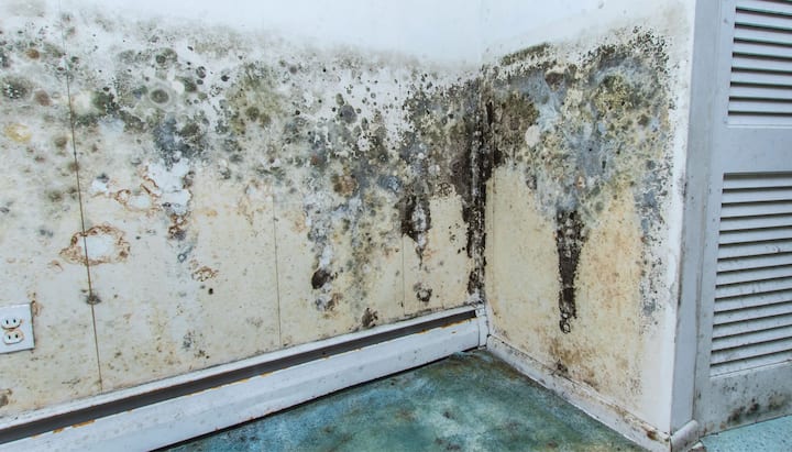 Mold-Damager-Odor-Control in Virginia Beach