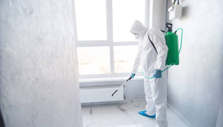 Mold-Inspection in Virginia Beach